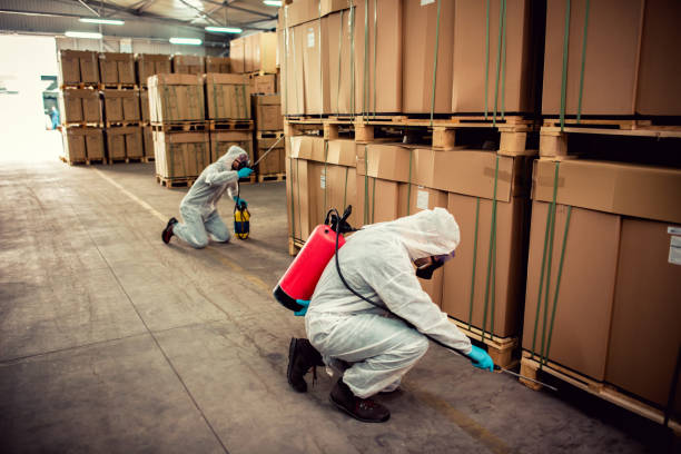 Best Pest Inspection Near Me  in Bristol, VA