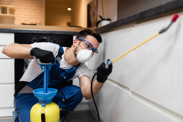 Best Pest Control for Businesses  in Bristol, VA