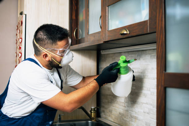 Best Emergency Pest Control  in Bristol, VA