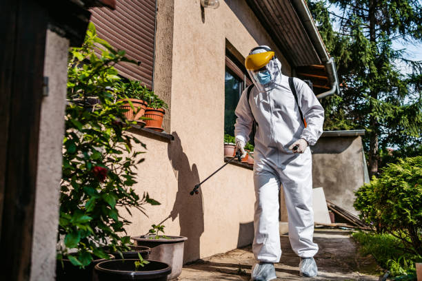 Best Ant Control Services  in Bristol, VA