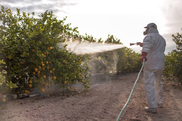 Best Affordable Pest Control Services  in Bristol, VA