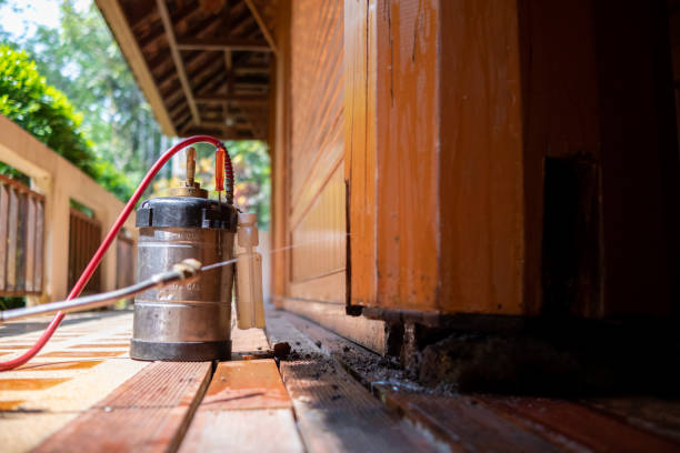 Pest Control Cost in Bristol, VA