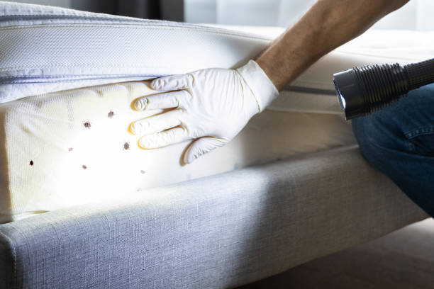 Best Emergency Pest Control  in Bristol, VA